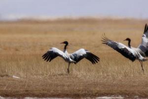 板仓自然保护区